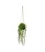 Plante Artificielle à Suspendre Living 62cm Vert-1