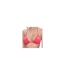 Haut De Maillot De Bain Motif/style Logo Femme Rose Calvin Klein-1