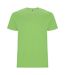 Roly - T-shirt STAFFORD - Homme (Vert kaki vif) - UTPF4347