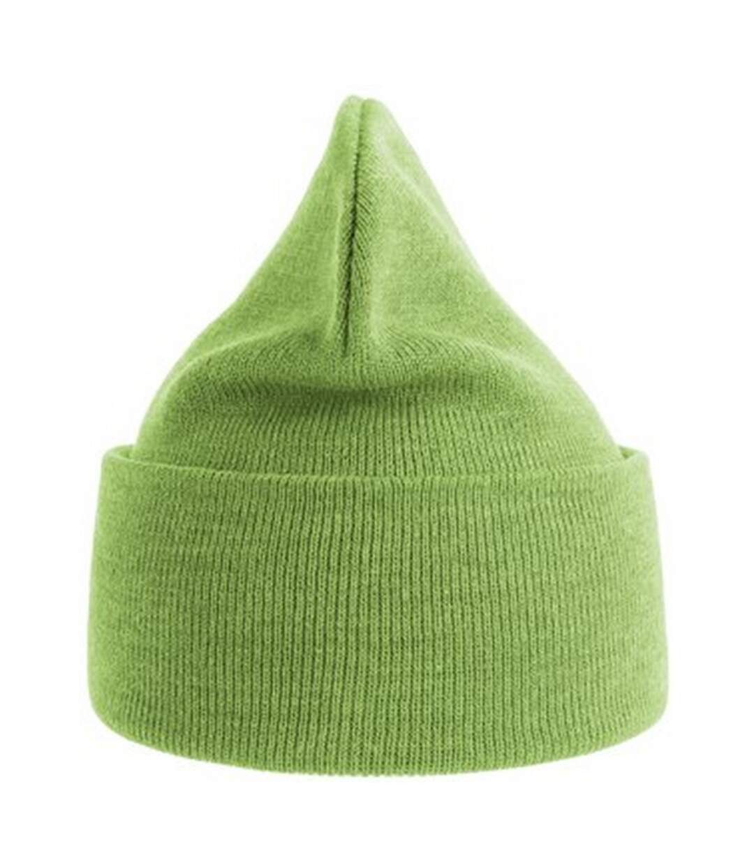 Bonnet pure adulte vert clair Atlantis