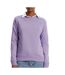 Sweat violet femme tommy hilfiger flag crew dw0dw19959-1