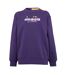 Sweat Manches Longues Femme Violet Diadora-1