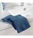 Lot de 2 Gants de Toilette Tendresse 15x21cm Saphir-3
