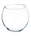 Vase Boule en Verre Frost 15cm Transparent-1