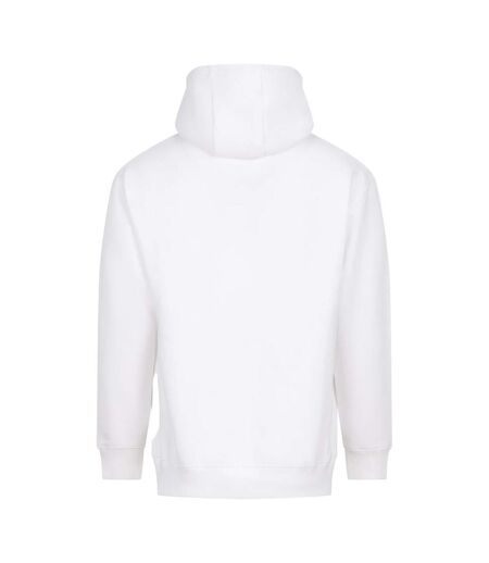 Sweat À Capuche Vision Adulte Blanc Arctique Awdis