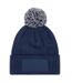 Bonnet Unisexe Pour Adultes Snowstar Printers Bleu Marine Gris Clair Beechfield-2