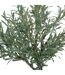 Plante Artificielle en Pot Olivier 140cm Vert & Noir-2