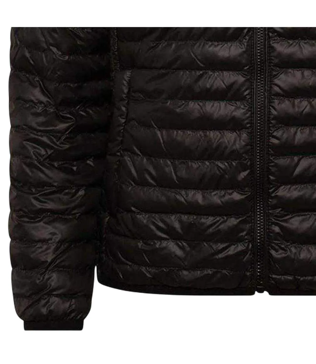 Womens/ladies Polyester Regular Padded Jacket Black Replay-4