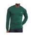 Pull vert homme lacoste organic cotton crew-1