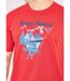 T-shirt motif placé jersey coton - lot de 2-4