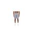 Short De Jogging Motif/style Camouflage Bardon Homme Bleu Acier Camouflage Crosshatch-1