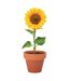 Pot de fleurs sunflower 5 cm x 6 cm x 5,5 cm bois MidOcean-1