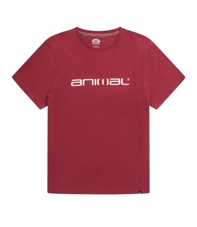 Animal - T-shirt CLASSICO - Homme (Bordeaux) - UTMW362