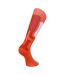 Dare 2B Mens Performance Premium Ski Socks (Puffin´s Bill/Rooibos Tea) - UTRG5324