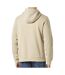 Sweat Beige Homme Teddy Smith Hoody - 3XL