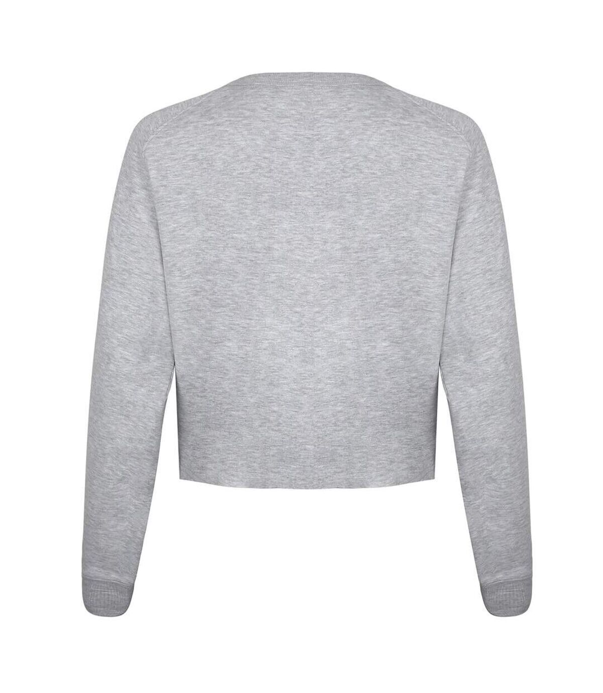 NASA Womens/Ladies National Aeronautics Crop Sweatshirt (Grey Marl)