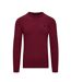 Pull classic homme rose baie Raging Bull