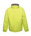 Regatta Dover Waterproof Windproof Jacket (Thermo-Guard Insulation) (Key Lime/Seal Grey) - UTRG1425
