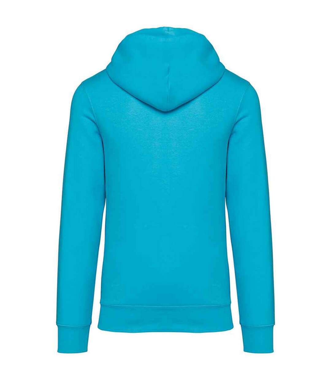 Sweat à capuche adulte turquoise clair Native Spirit