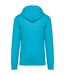 Sweat à capuche adulte turquoise clair Native Spirit