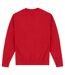 Park Fields Unisex Adult Icon Sweatshirt (Red) - UTPN831