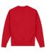 Park Fields - Sweat - Adulte (Rouge) - UTPN831