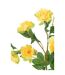 Fleur Artificielle en Pot Pivoine 80cm Jaune-2