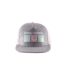Animal Crossing Unisex Adult New Horizons Pastel Square Baseball Cap (Heather Grey) - UTHE1842