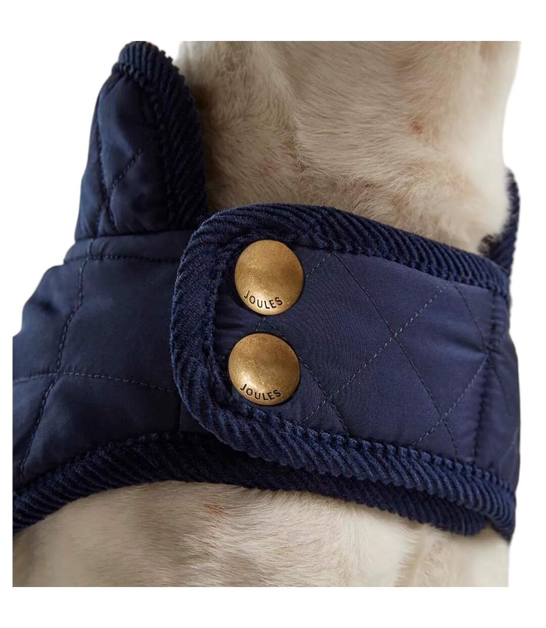 Quilted dog coat m navy Joules-4