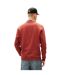 Mens Logo Sweatshirt Terracotta Tommy Jeans-3