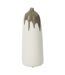 Vase Bouteille en Argile Olea 47cm Blanc & Vert-1