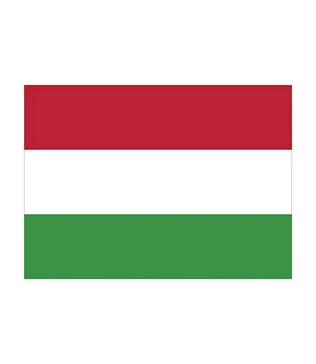 Drapeau 150 Cm X 90 Cm Rouge Blanc Vert Printwear