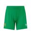 Womens/ladies 2022 Ireland Elasticated Football Shorts Jolly Green Castore-1