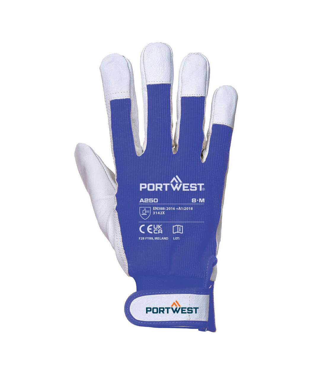 Gants a250 tergsus m bleu Portwest-2