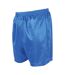 Precision Unisex Adult Micro-Stripe Football Shorts (Royal Blue) - UTRD124