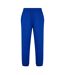 Pantalon De Survêtement Adulte Bleu Lacoste-2