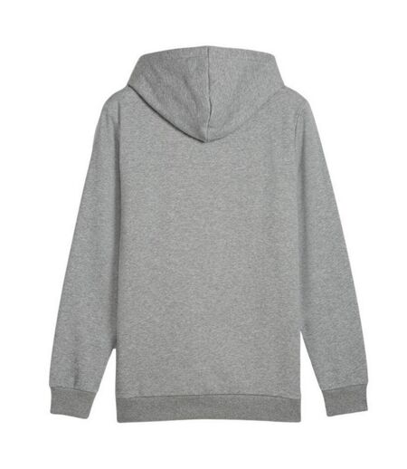 Sweat À Capuche Style Logo Dégradé Ess+ Lab Femme Gris Argenté Puma