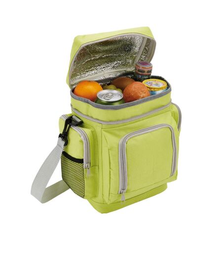 Deluxe travel cooler bag one size green XD Collection