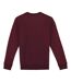 Unisex Adult Crew Neck Sweatshirt Dark Cherry Native Spirit-2
