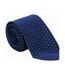 Childrens/kids Spotted Show Tie One Size Navy Gold Supreme Products-3