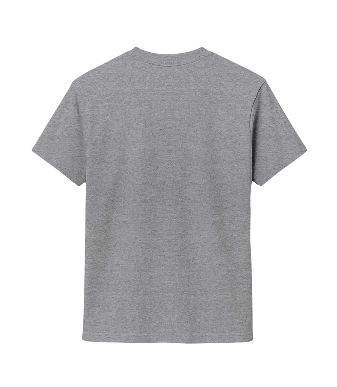 T-shirt Motif/style Imprimé Graphique Old Flag Homme Gris Chiné Republic Of California-2