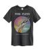 T-shirt wish you were here adulte charbon Amplified