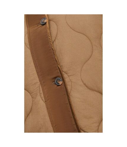 Dorothy Perkins Womens/Ladies Contrast Collarless Plus Padded Jacket (Chocolate) - UTDP651