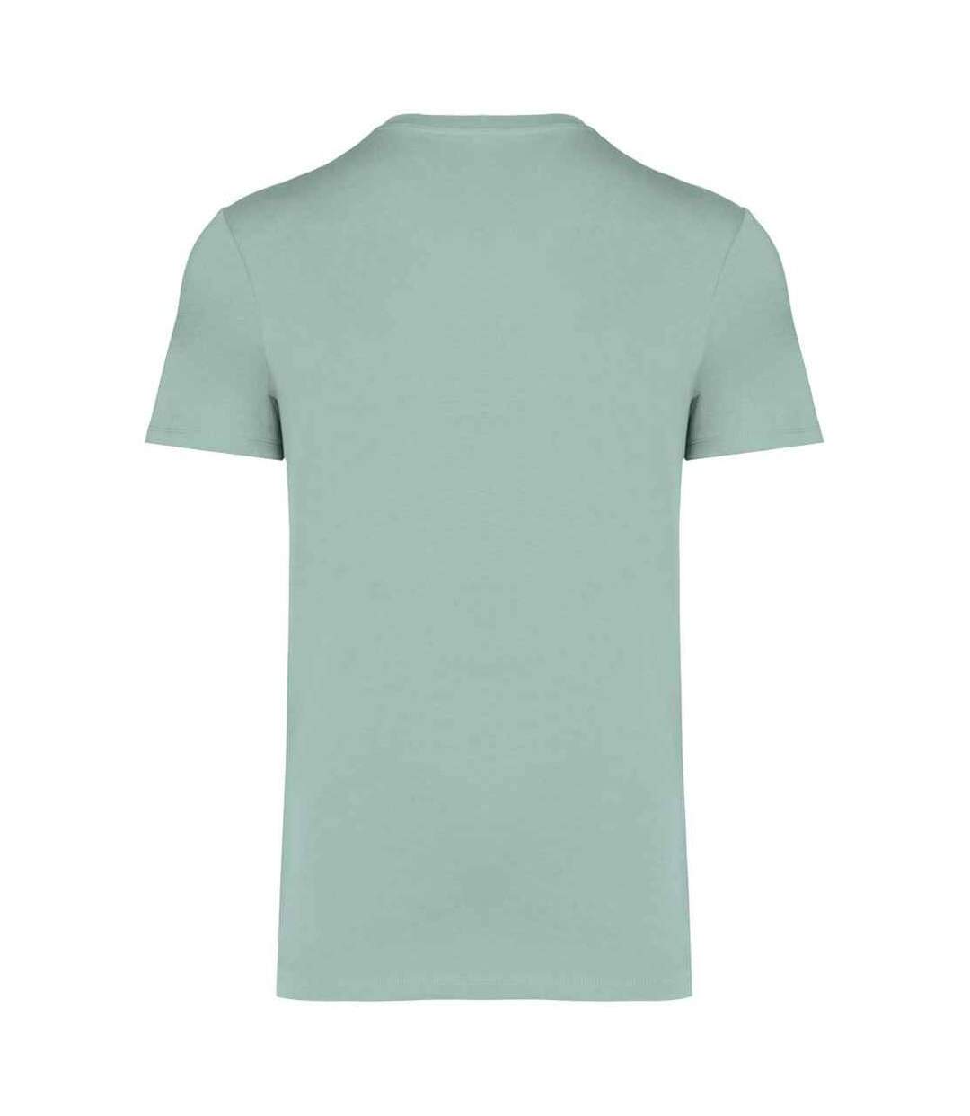 Unisex adult heavyweight slim t-shirt jade green Native Spirit-2