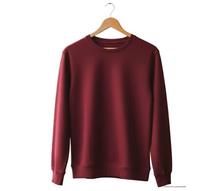 Sweat uni ras cou E213