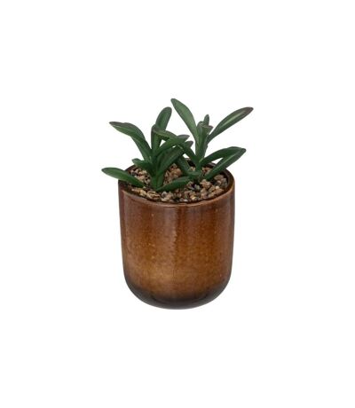 Plante Artificielle en Pot Reac 16cm Ocre & Vert