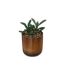 Plante Artificielle en Pot Reac 16cm Ocre & Vert-1