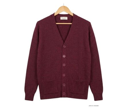 MAYFLOWER DERBY1B - Gilet boutonné bordeaux en laine mélangée : chaleur et confort chic