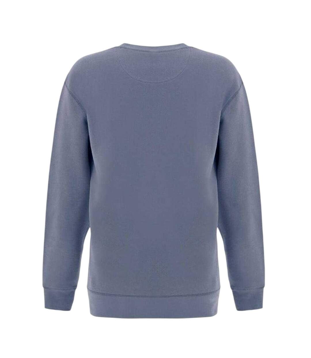 Mens Crew Neck Regular Sweater Top Pastel Blue Firetrap-2