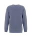Mens Crew Neck Regular Sweater Top Pastel Blue Firetrap-2